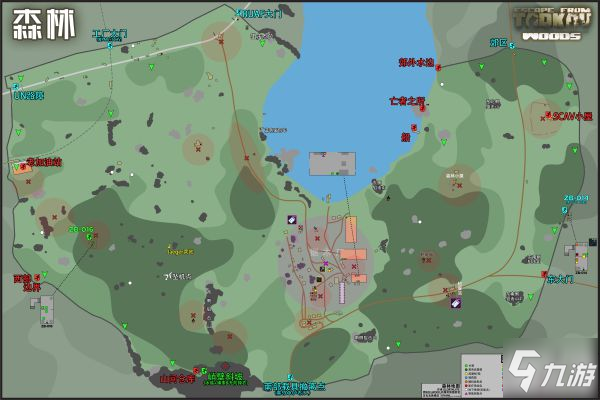 森林最新地图，时代的探索与深远影响