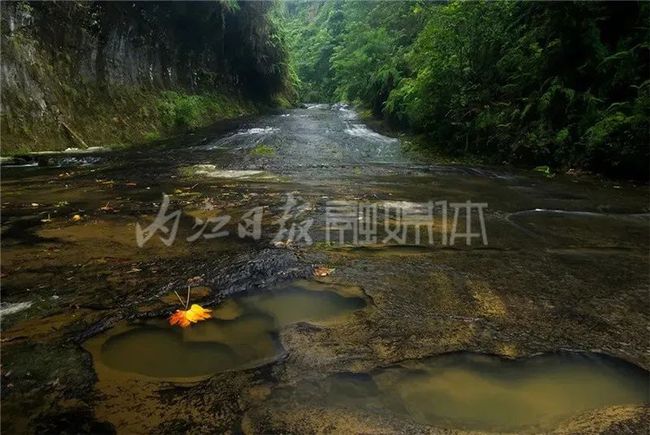 威远石板河最新进展，夏日奇遇揭秘中