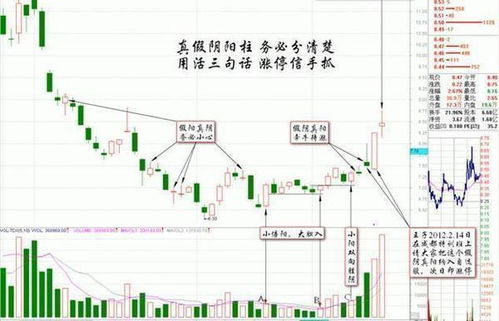 园林绿化工程 第258页