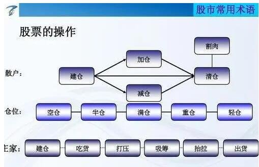 城市绿化 第255页