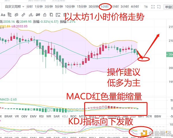 铁精矿最新价格探讨，市场走势与多方观点分析