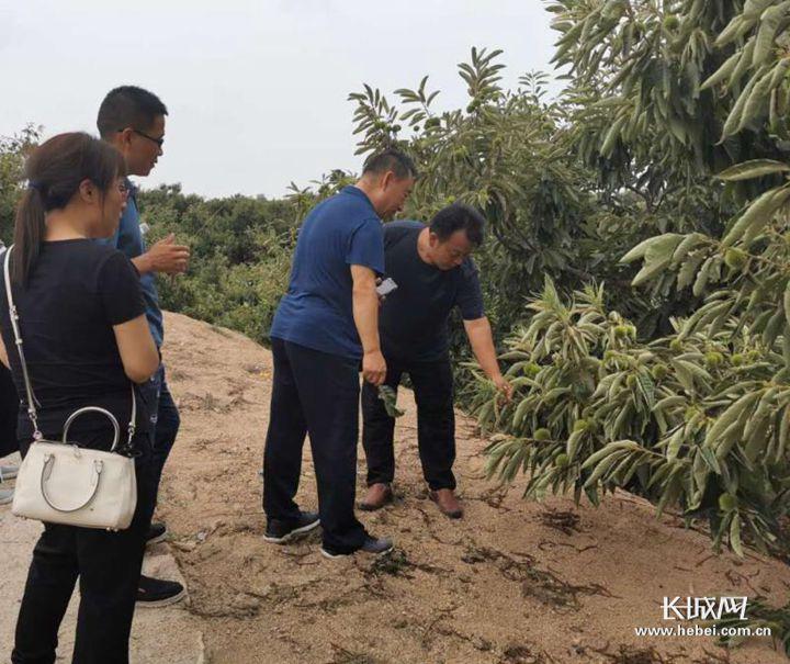 秦皇岛大风来袭，气象分析与防范指南