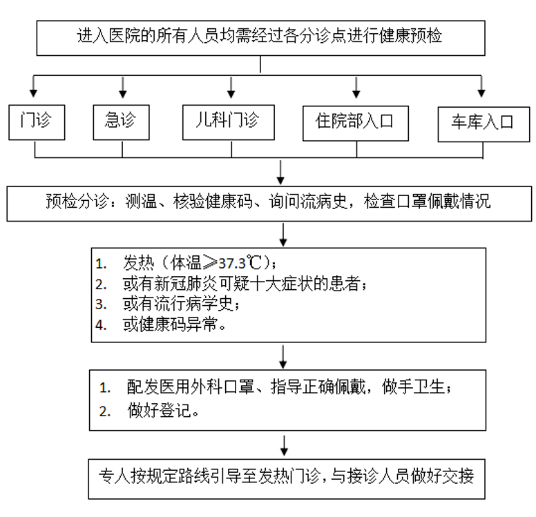 官方最新疫情动态，详细步骤指南与最新疫情信息速递