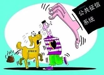 濮阳最新患者事件，社会关注与舆论应对的探讨