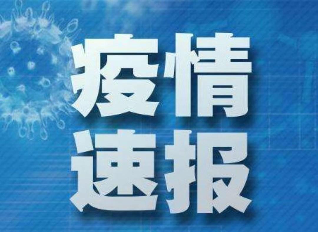 郑州最新感染情况与温馨日常记录